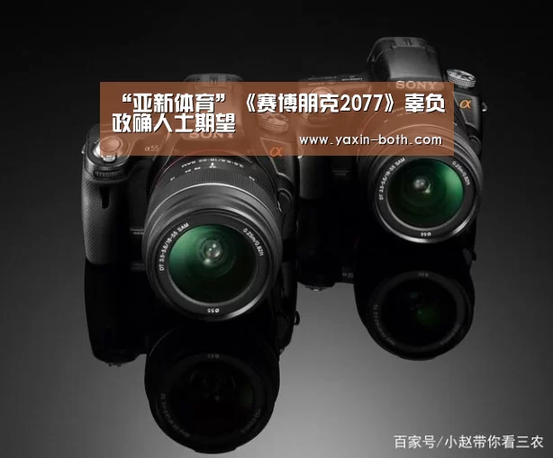 “亚新体育”《赛博朋克2077》辜负政确